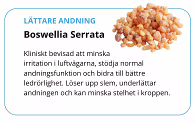 Lunger-og-pust-2